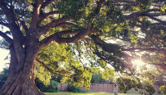 IMG_20200514_192551 (1)